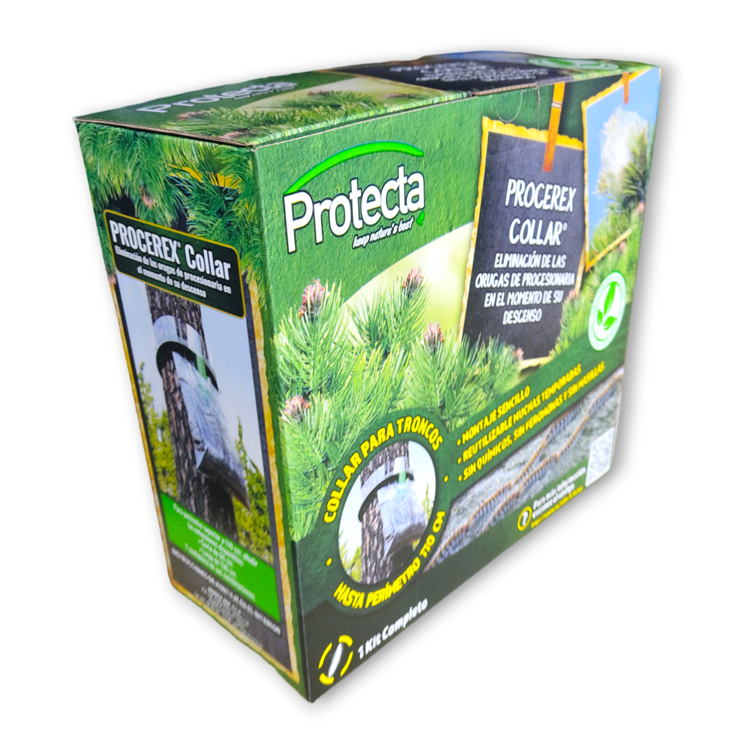 Collar Trampa procesionaria el pino